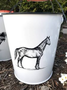 Best Gifts for Horse Lovers